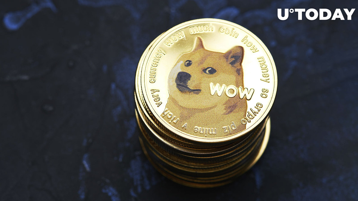 یکی از بنیانگذاران DOGE فاش می کند که چقدر دوج کوین دارد